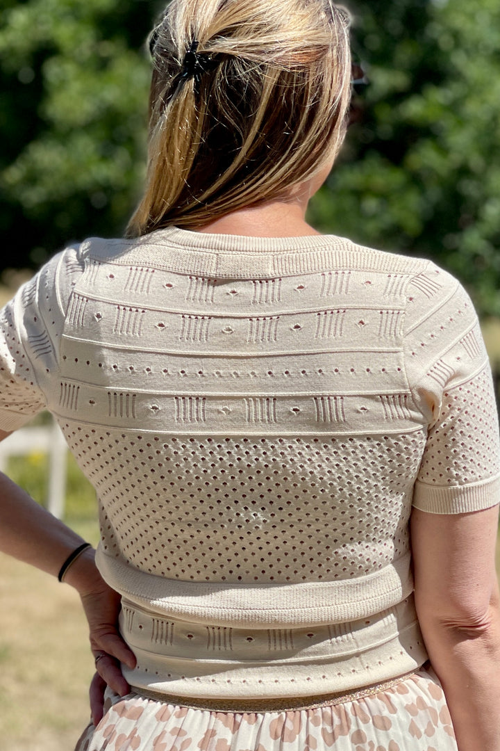 Monica Mesh Short Sleeve Knit