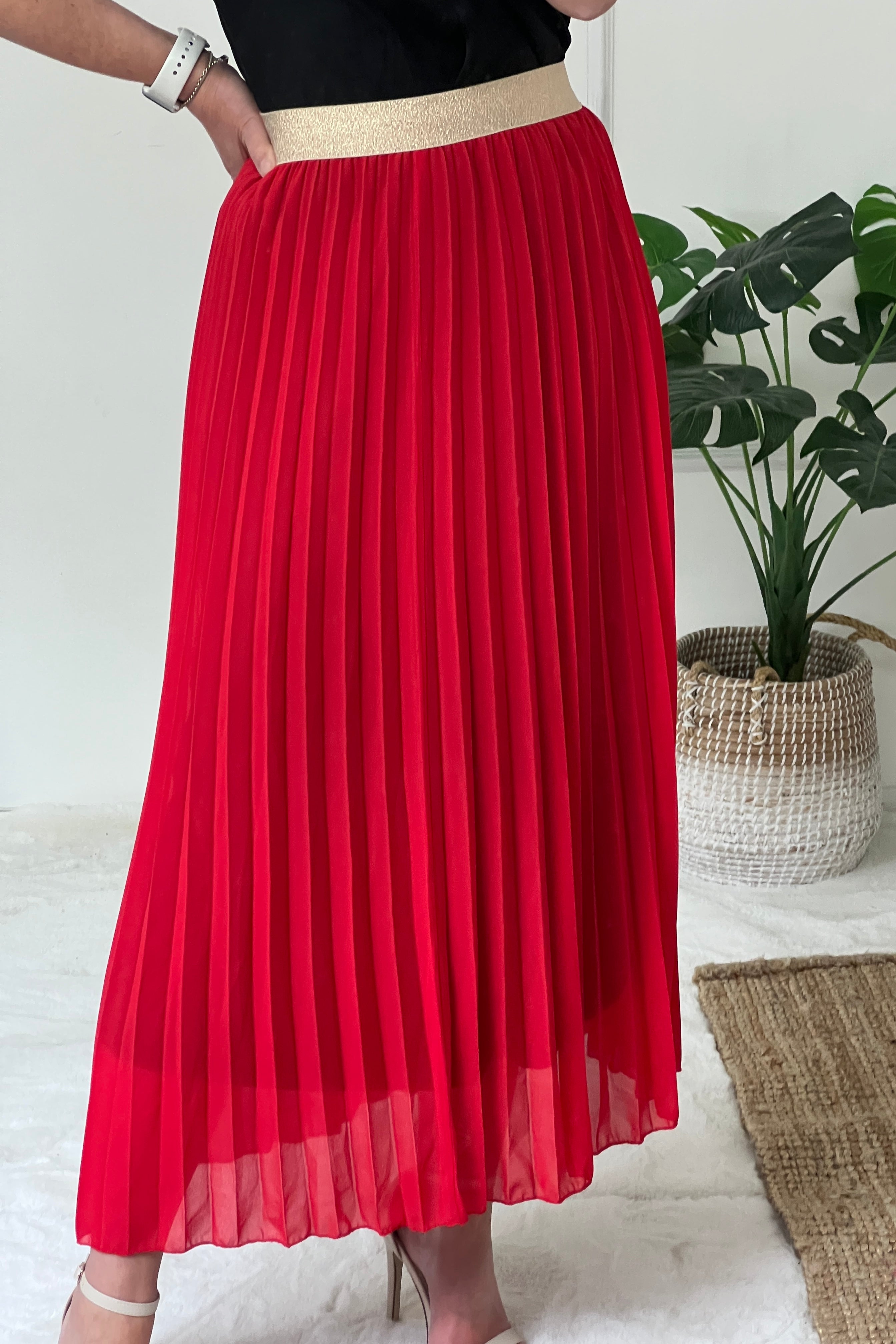 Pleated Maxi Skirt - colours to choose